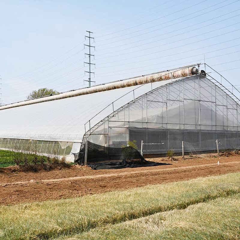 solar greenhouse