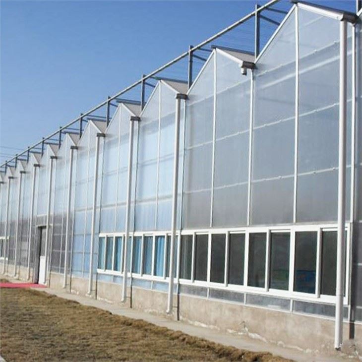 Agriculture Greenhouse PC Greenhouse