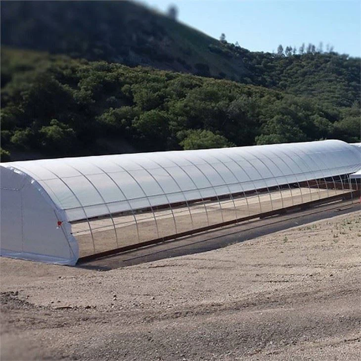 Blackout Greenhouse