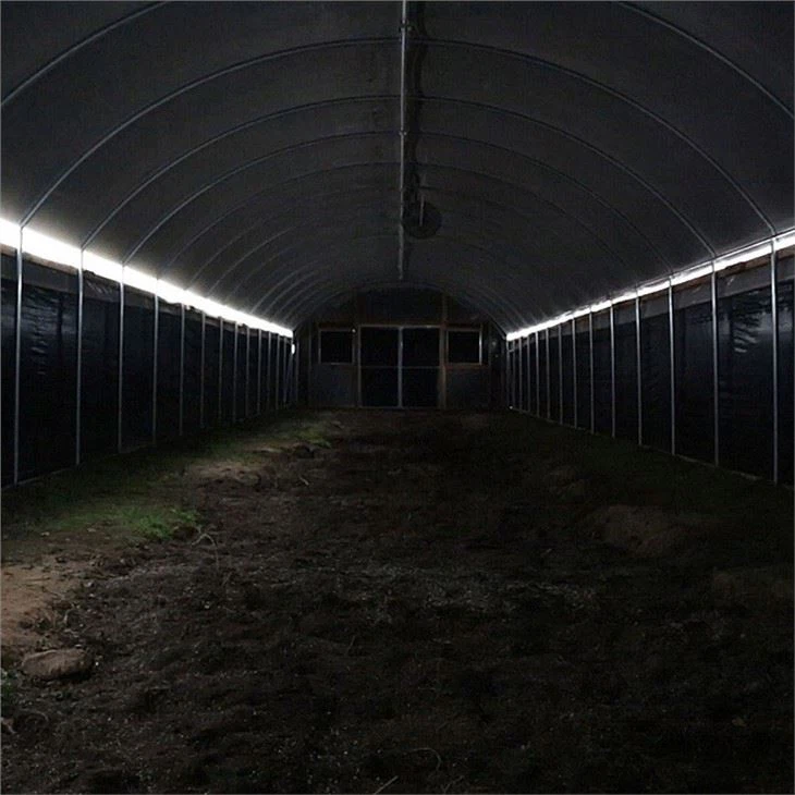Blackout Greenhouse