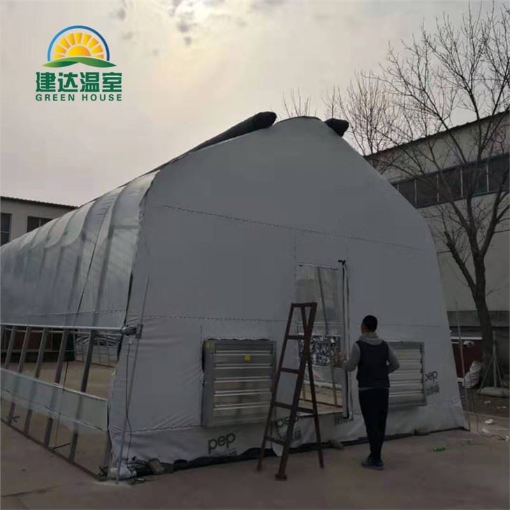 PE Plastic Film Light Deprivation Greenhouse