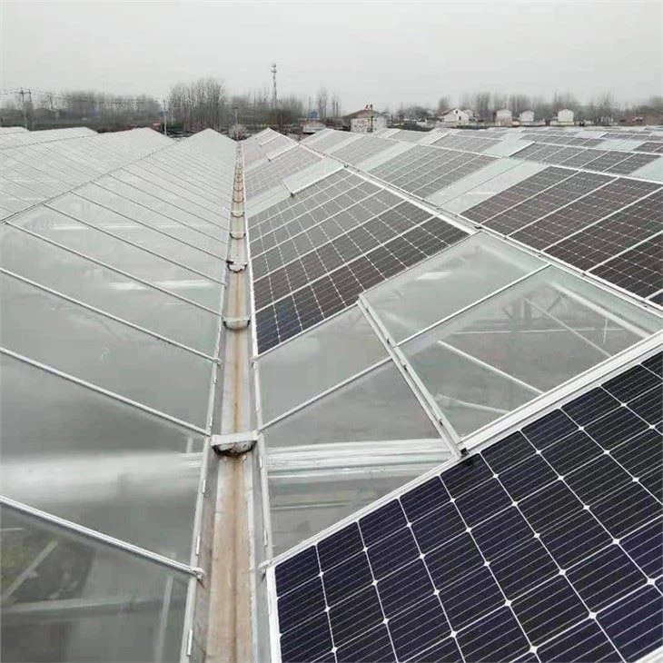 Photovoltaic Greenhouse