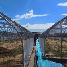 گلخانه فیلم Singlespan