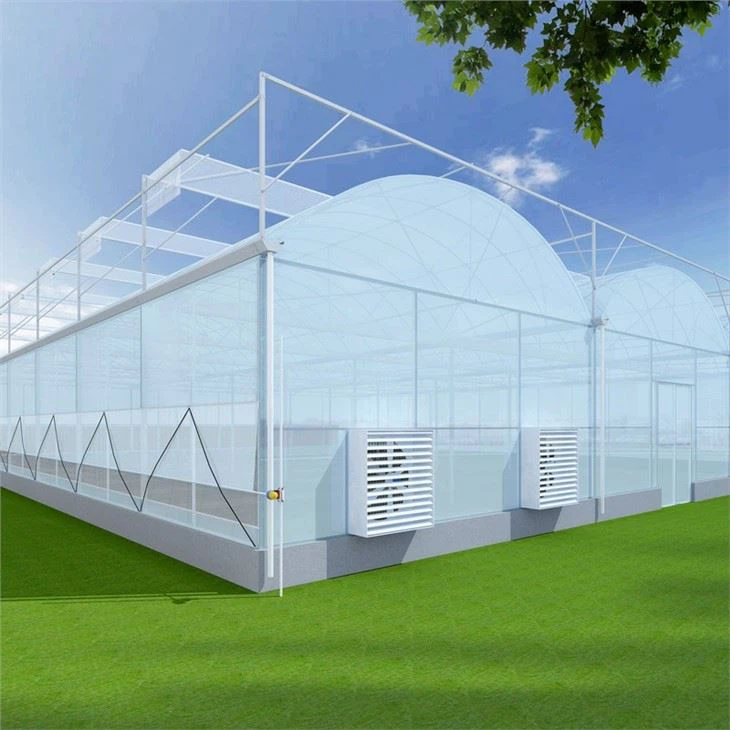 Industrial Greenhouses From China