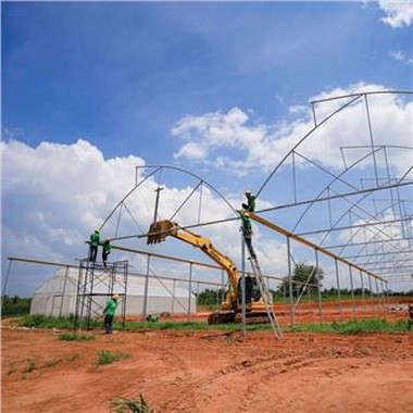 گلخانه های صنعتی از چین