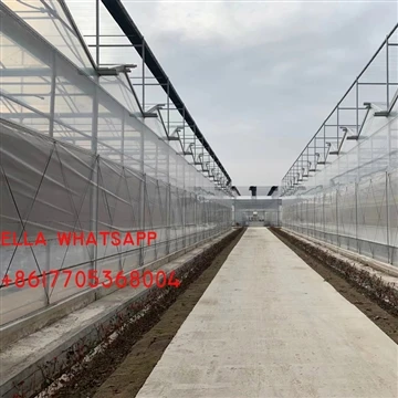 اقدامات احتیاطی برای طراحی و ساخت گلخانه شیشه ای